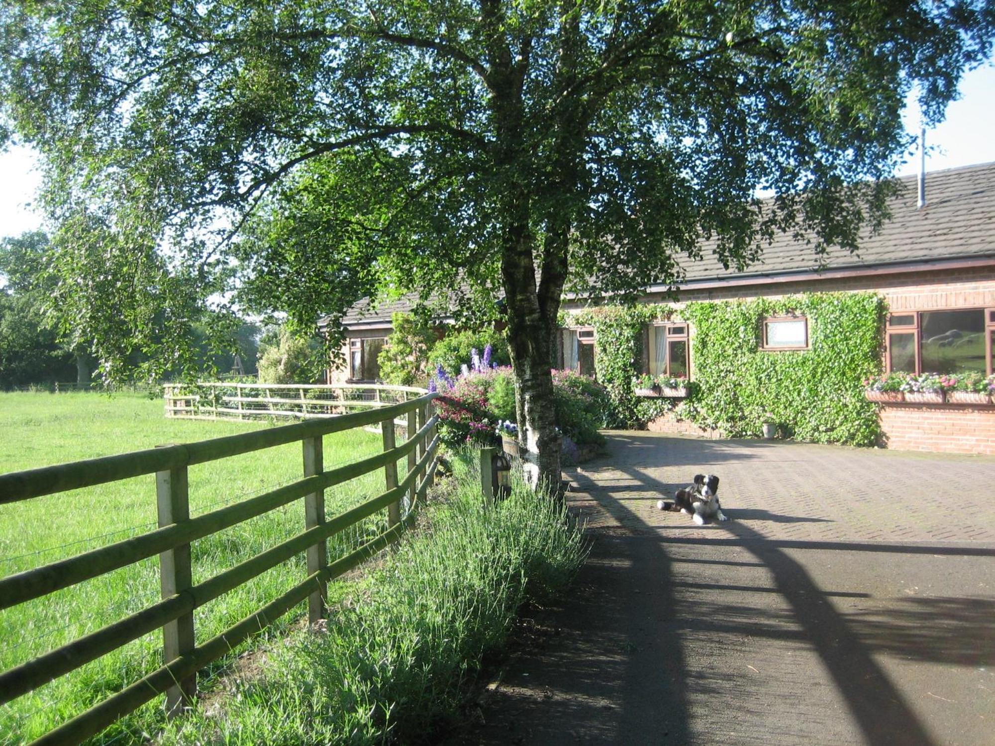 Ladderstile Retreat Bed and Breakfast Congleton Exterior foto